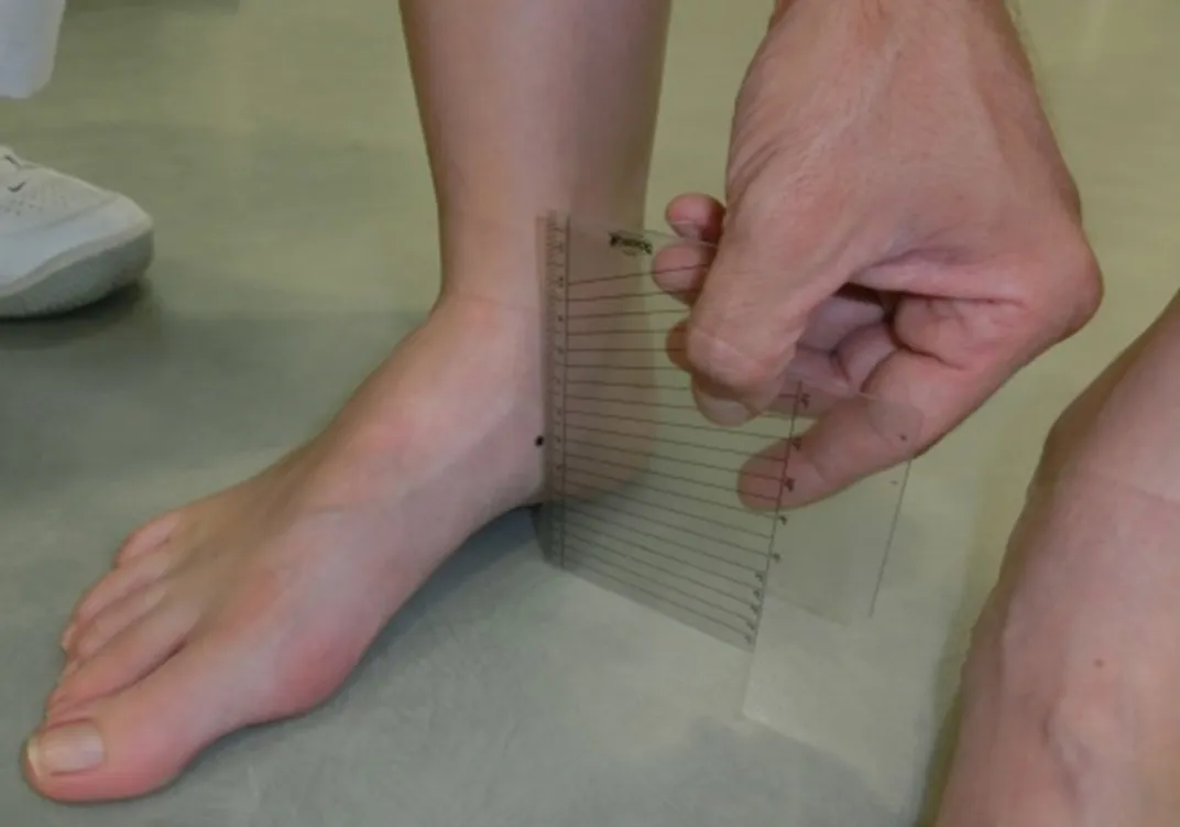 Determinació alçada navicular