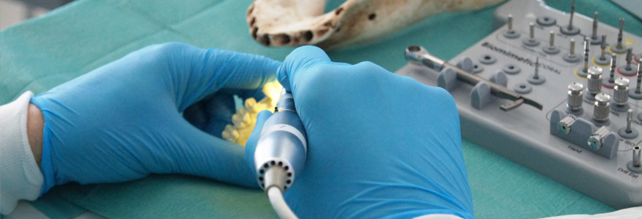 curs cirurgia implantològica dental 