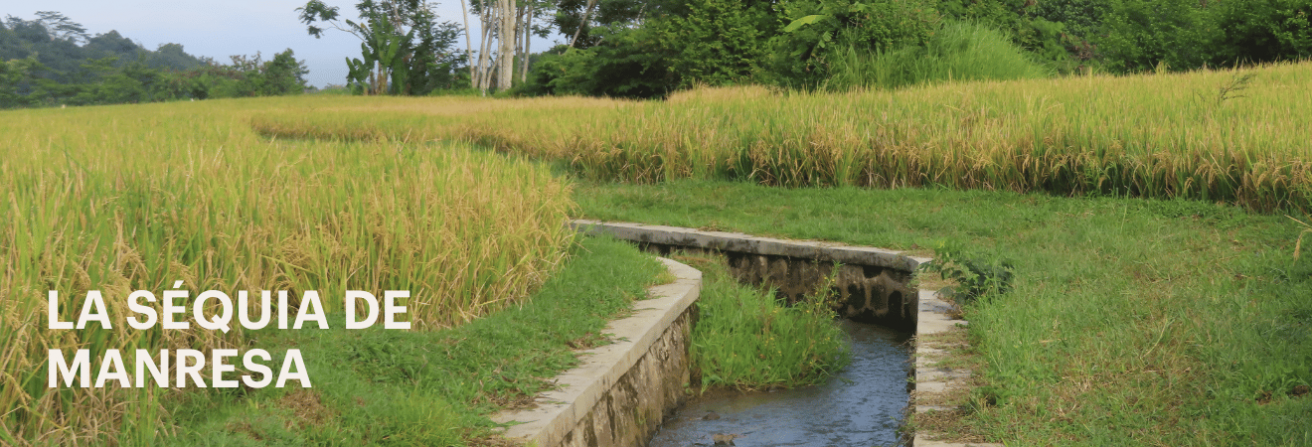 Séquia de Manresa