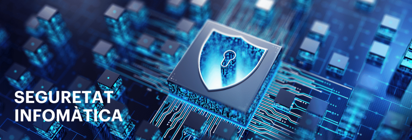 Seguretat informàtica