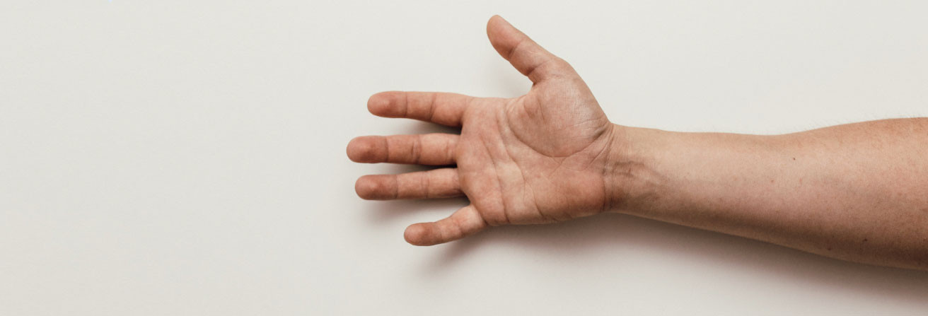 Curs intensiu d'Anatomia Humana amb pràctica en cadàver