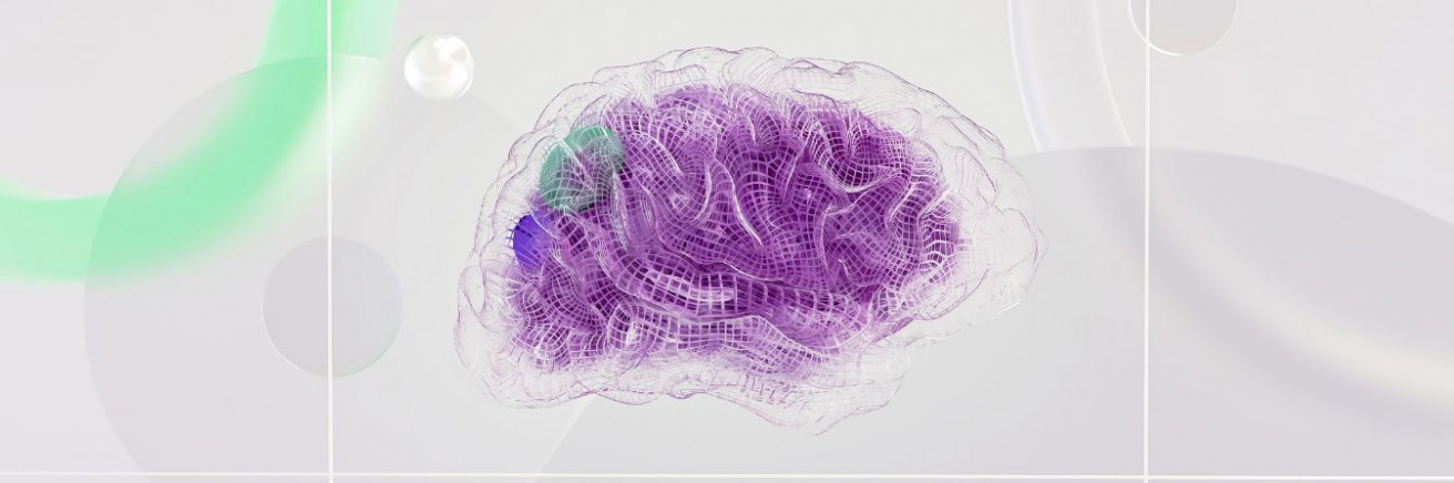 Grup de recerca en Neurociència, Salut i Simulació
