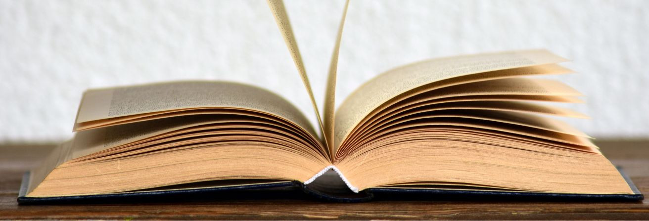 Grup de recerca en lingüística aplicada, didàctica i literatura