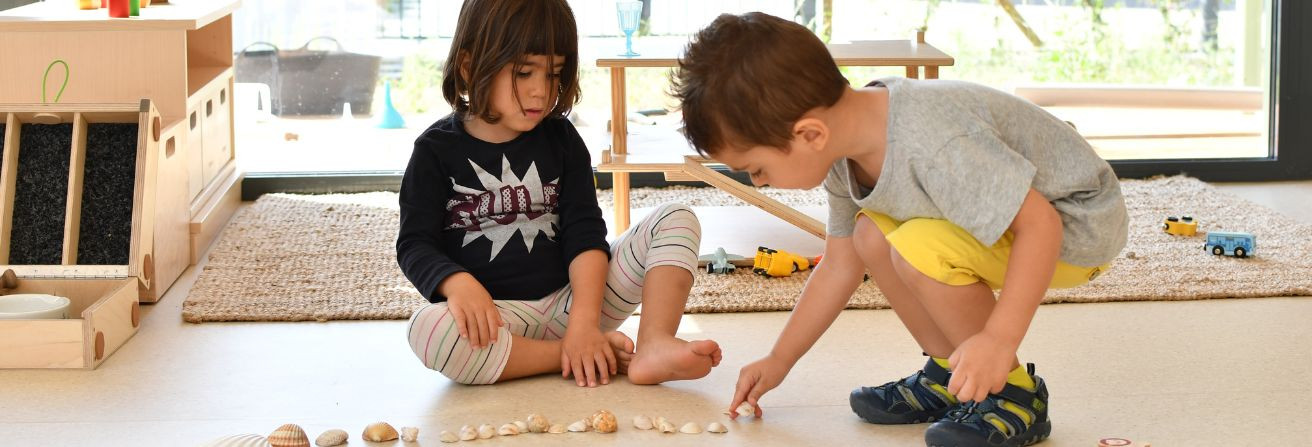 Tibar del Fil: Crear situacions d'aprenentatge a través de projectes