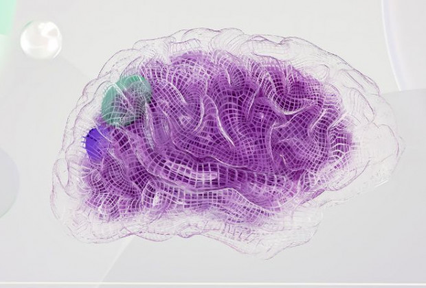 Grup de recerca en Neurociència, Salut i Simulació