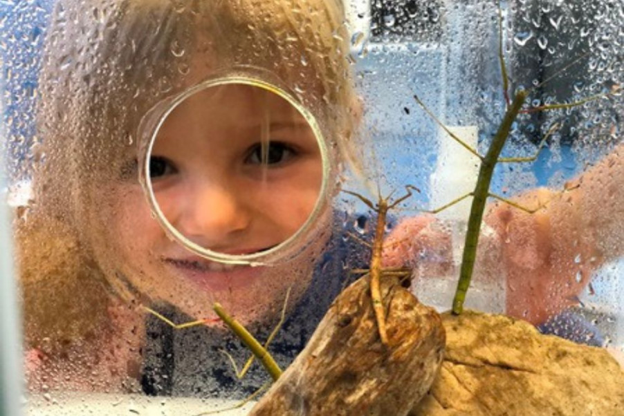 Ciències amb el Lab_06