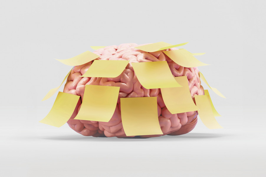 Imatge de la segona edició de la Jornada Intercàtedres 