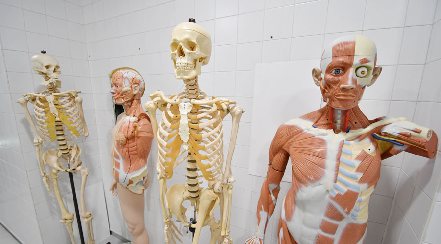 Laboratori de ciències bàsiques d'UManresa