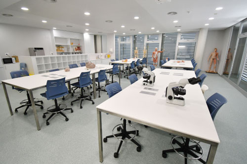 laboratori ciències bàsiques