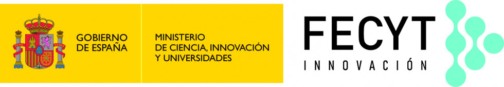 Ministerio de ciencia, innovación y universidades i fecyt
